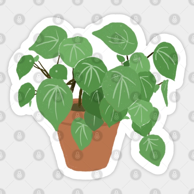 Peperomia Argyreia Watermelon Plant Sticker by gronly